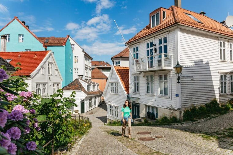 Bergen: Past & Present Small Group Guided Walking Tour - Who Will Love This Tour