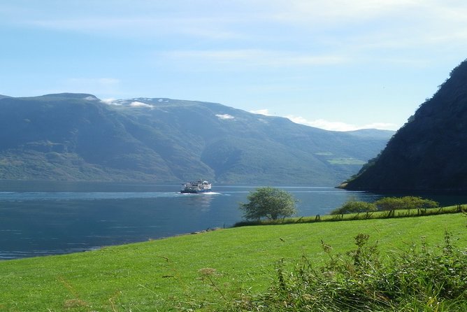 Bergen Private City Meets Fjord Group Tour - Pickup and Transportation