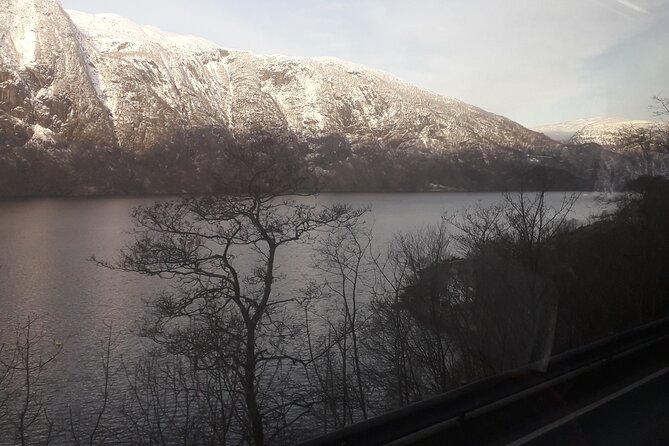 Bergen Private City Meets Fjord Group Tour - Steinsdalsfossen Waterfall