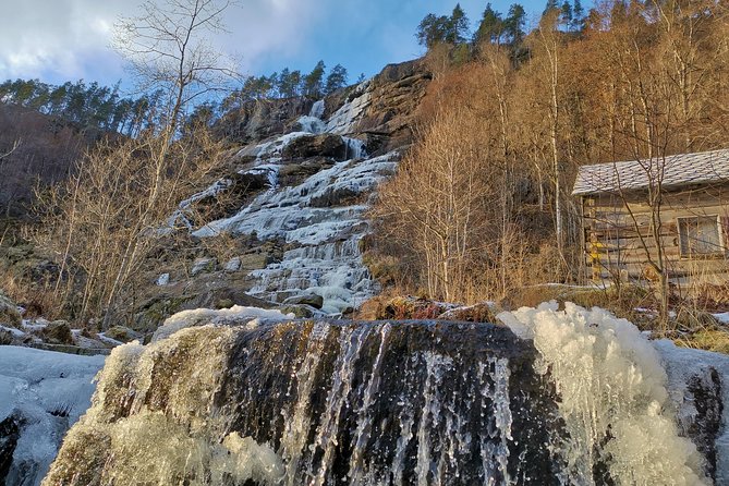 Bergen Private Full-Day Vikings and Fjords Tour - Common Questions