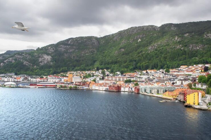 Bergen Private Guided City Tour - Booking Information