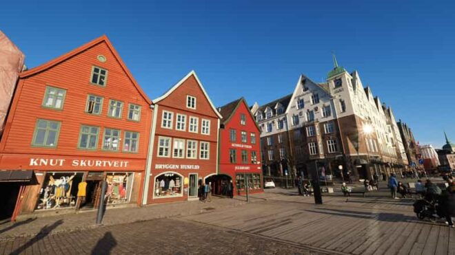 Bergen: Private Tour in Your Own Language - Language and Accessibility