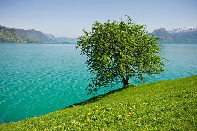 Bergen: Self-Guided Roundtrip (Sognefjord Cruise 5h & Flamsbana) - Tour Highlights