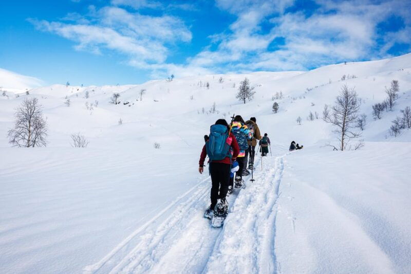 Bergen: Snowshoe Hike - Public Tour - Good To Know