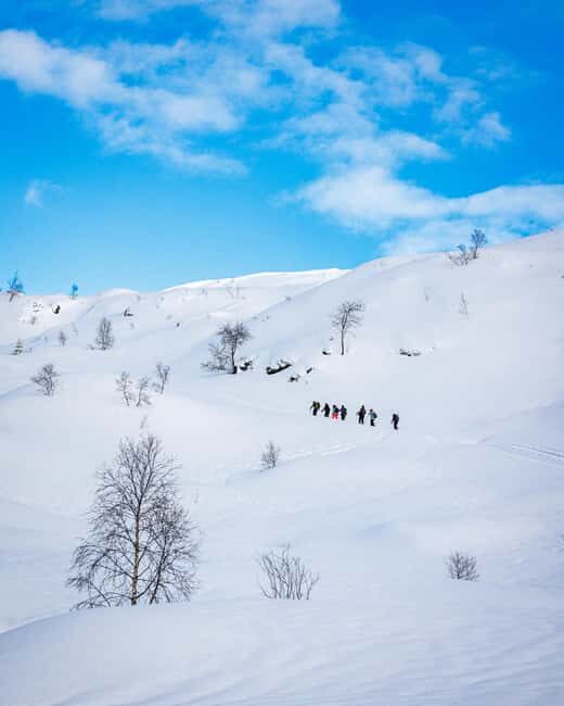Bergen: Snowshoe Hike - The Experience in Detail
