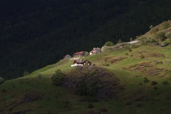 Bergen to Flam "The King of Fjords" One-Way or Round-Trip Cruise Ticket - The Sum Up