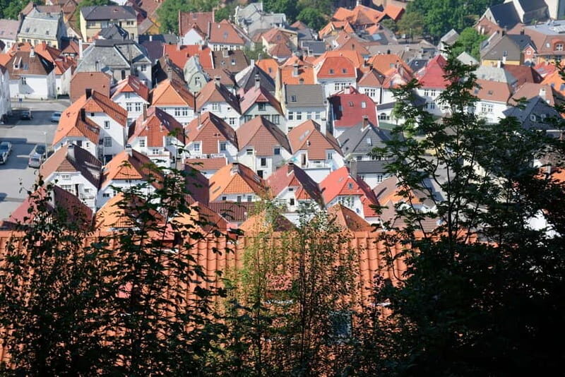 Bergen: Urban Mountain Hiking and History Tour - Authentic Neighborhoods and Local Life