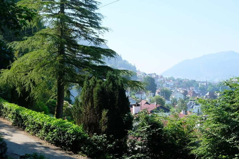 Bergen: Urban Mountain Hiking and History Tour - Ending at Floibanen Station