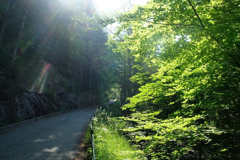 Bergen: Urban Mountain Hiking and History Tour - The Sum Up