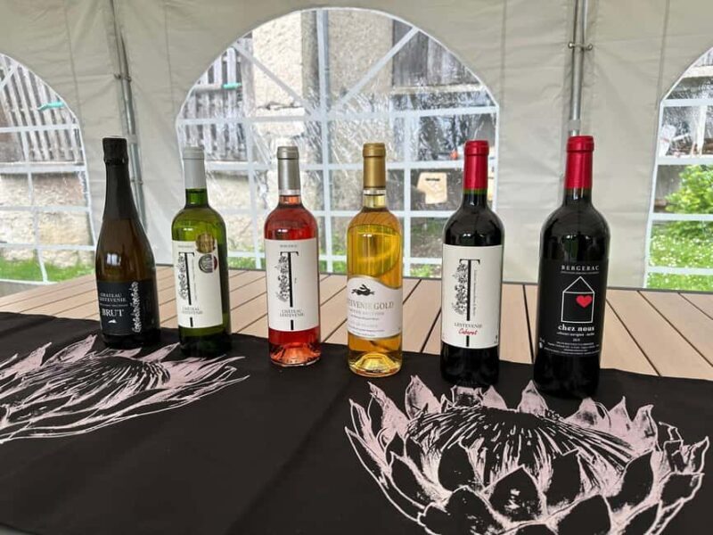 Bergerac: Wine Tasting at Chateau Lestevenie - Who Should Consider This Tour?