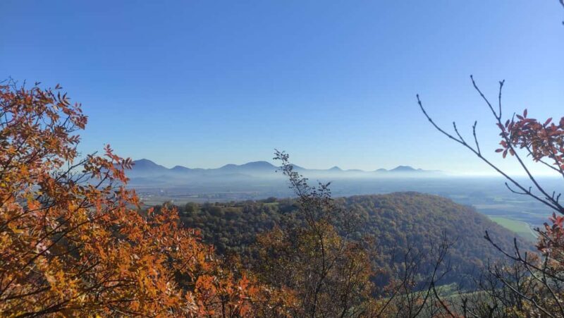 Berici Hills: Guided Hike to Alonte 21/09 only! - A Journey Through the Heart of the Berici Hills