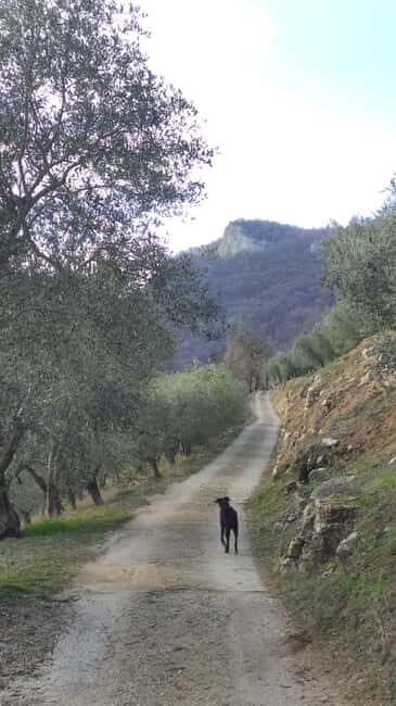 Berici Hills: Guided Hike to Alonte 21/09 only! - Cost-Effectiveness and Value