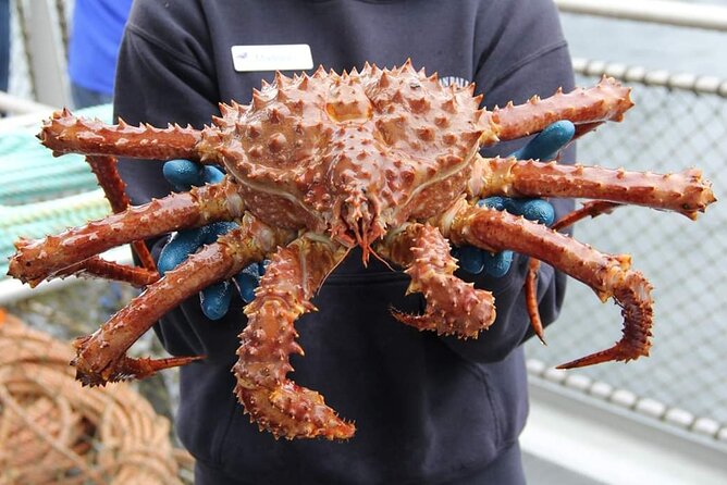 Bering Sea Crab Fishermans Tour From Ketchikan - Tour Itinerary