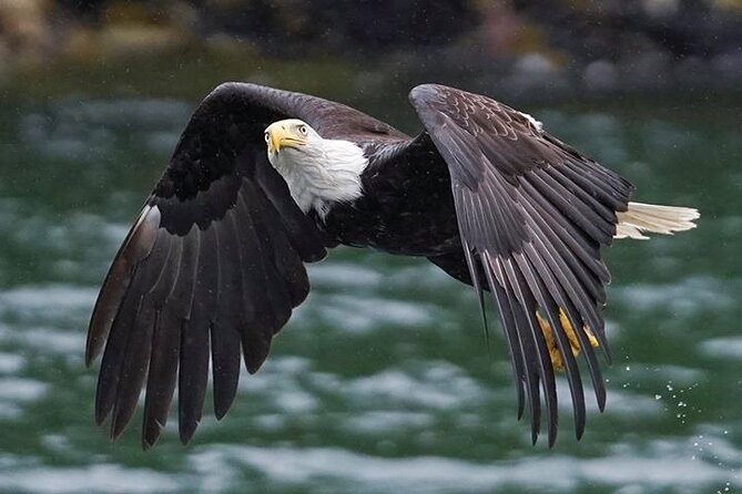 Bering Sea Crab Fishermans Tour From Ketchikan - Overall Satisfaction and Recommendations