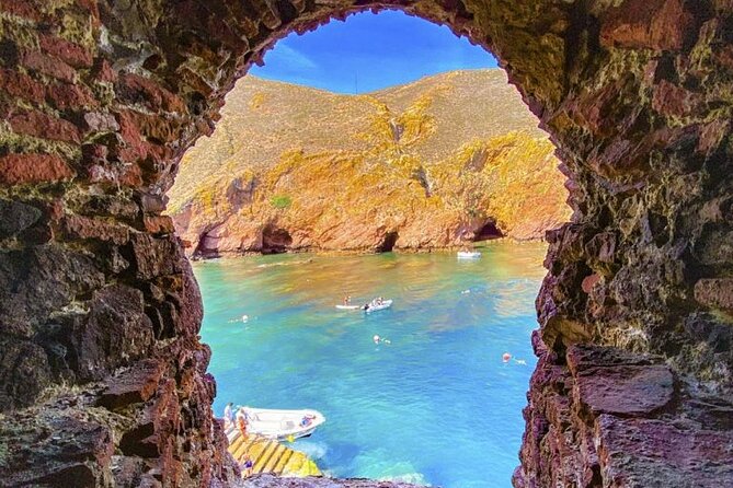 Berlenga Grande Island Private Tour From Lisbon - Tour Details and Overview