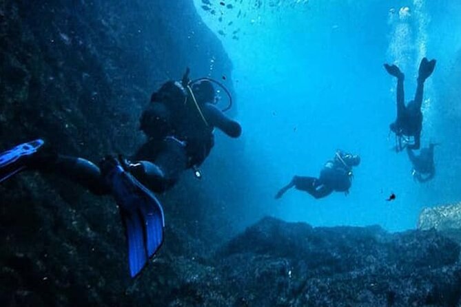 Berlenga Grande Island Private Tour From Lisbon - Directions and How to Get There