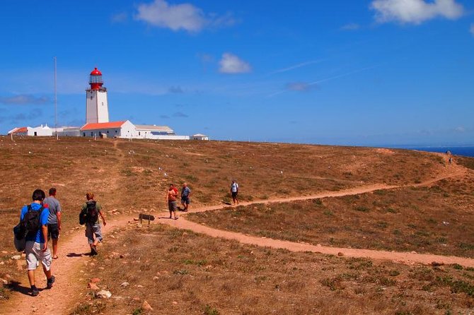 Berlenga Island Small-Group Day Trip From Lisbon - Overall Impressions of the Tour