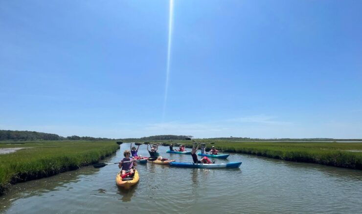 Berlin: Assateague Island Wildlife Discovery Kayak Tour - Good To Know