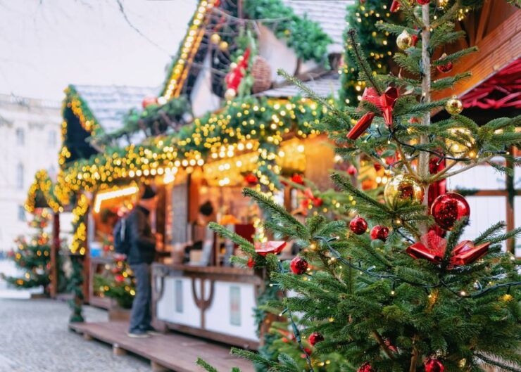 Berlin: Christmas Markets & Sightseeing Private Tour by Car - Tour Details