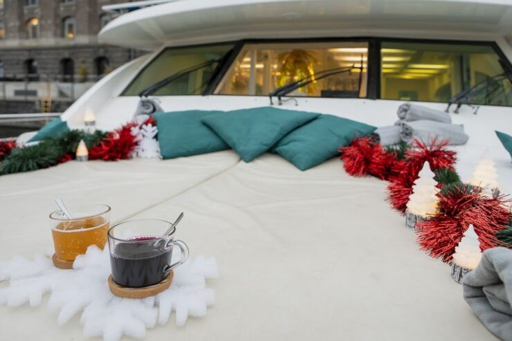 Berlin: Christmas Sightseeing Cruise With Welcome Drink - Tour Guide and Audio Guide Information