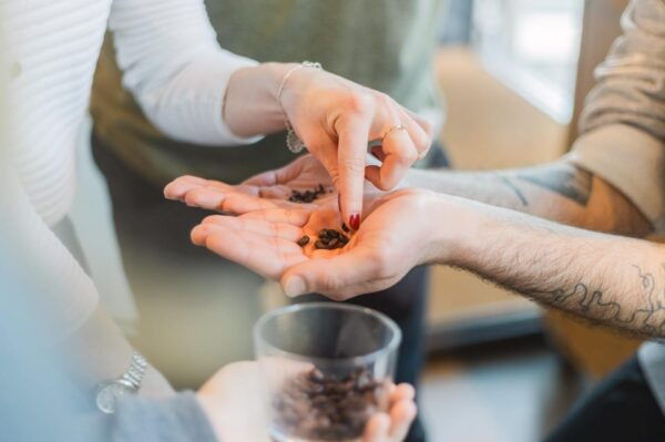 Berlin: Coffee Training - Ideal Participants