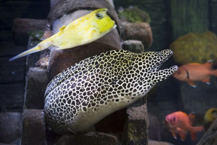 Berlin: Combi Ticket SEA LIFE & Berlin Dungeon - Activity Details