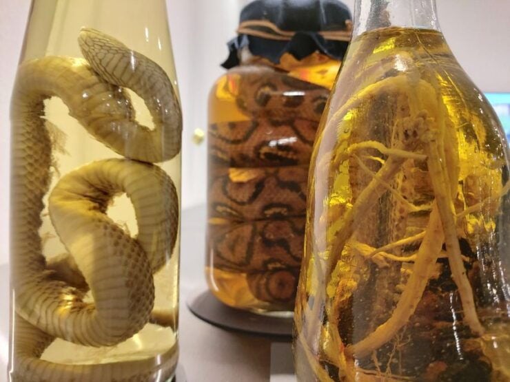 Berlin: Disgusting Food Museum Entry Ticket and Tasting - Reserve Now & Pay Later