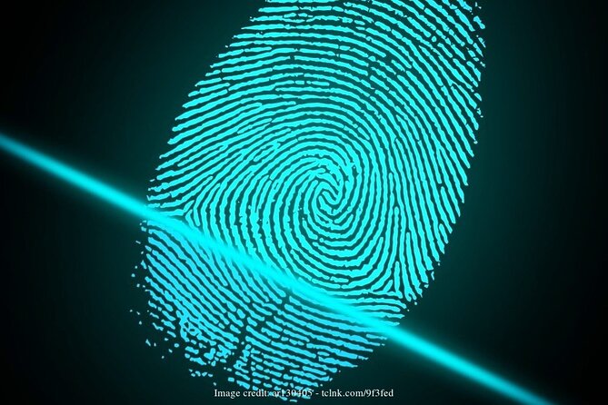 Berlin for Families With Spy Museum Tickets: Private Tour - Highlights of the Private Tour