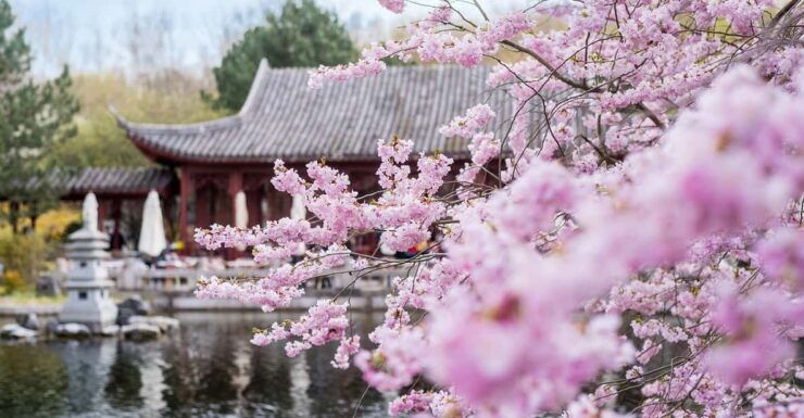 Berlin: Gardens of the World Guided Tour - Experience Highlights