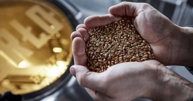 Berlin: Guided Brewery Tour and Craft Beer Tasting - Common Questions