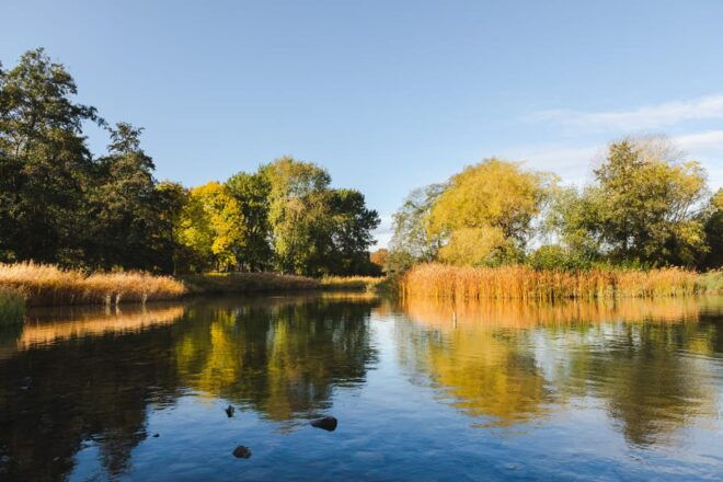 Berlin: Guided Tour Through Britzer Garten - Duration and Language