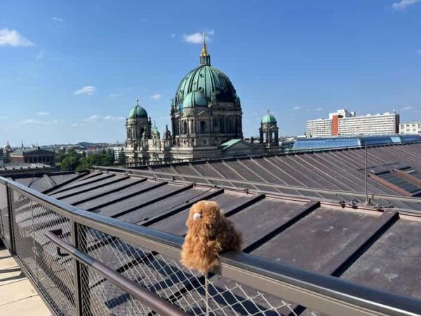Berlin Highlights Photo Tour - Booking and Cancellation Policy
