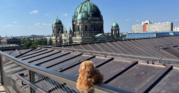 Berlin Highlights Photo Tour - Frequently Asked Questions