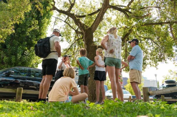 Berlin Highlights Walking Tour for Families - Nearby Attractions to Explore