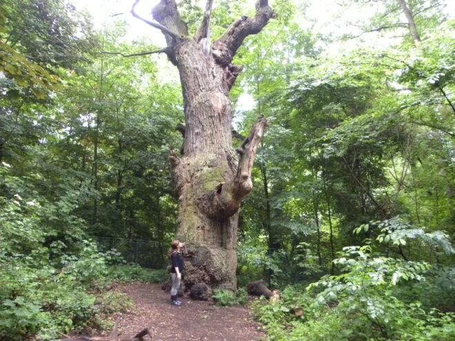 Berlin: Humboldt in Tegel, Self-guided City Expedition Tour - Whats Included