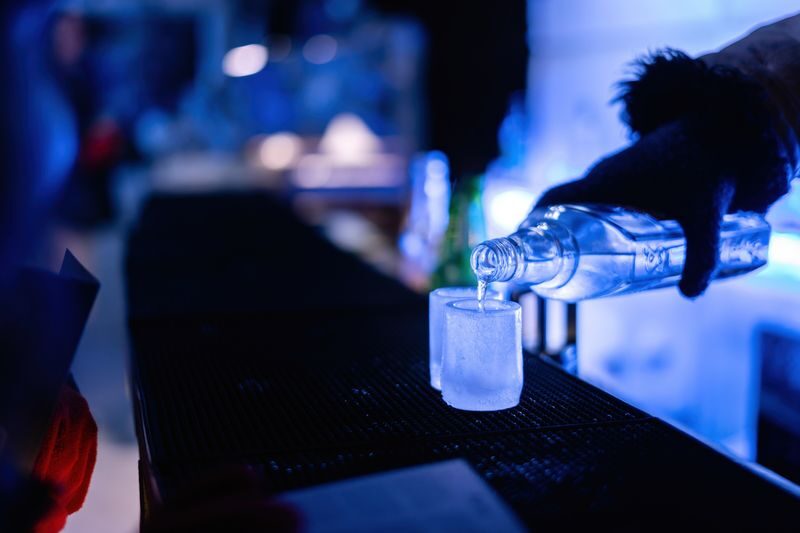 Berlin Icebar Ticket with free drinks - The ice room is the main event