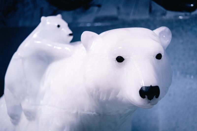 Berlin Icebar Ticket with free drinks - A quick stop, best enjoyed for what it is