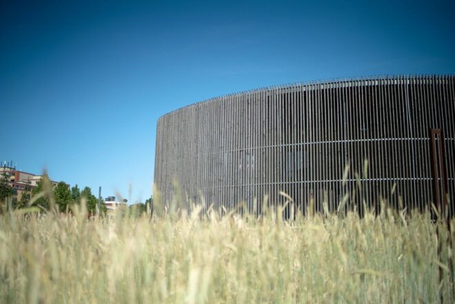 Berlin Insider's Cold War Walking Tour - Similar Tours