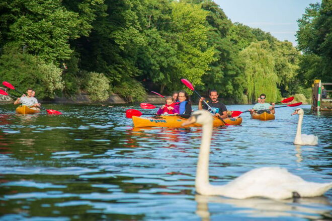 Berlin: Kayaking Tour Through East Berlin - Meeting Point Information