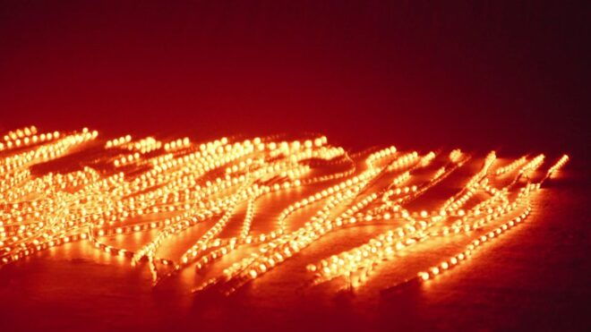 Berlin: Khroma Immersive Art Experience - Highlights of the Khroma Immersive Art Experience