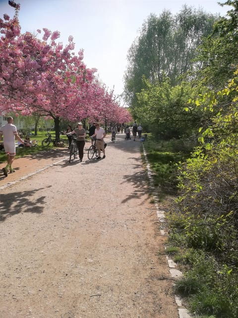 Berlin: Kreuzberg Private Tour With Guide - Cultural Insights