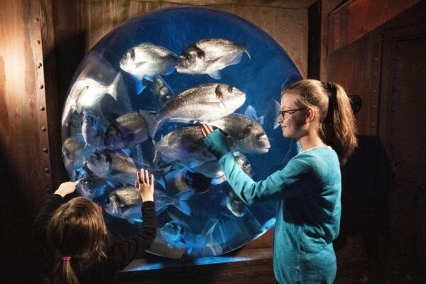 Berlin: LEGOLAND Discovery Centre and SEA LIFE Combo Ticket - Explore the LEGO Brick World and MINILAND