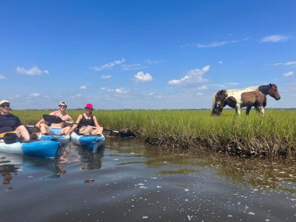 Berlin, MD: Full-, Half, or Quarter-Day Kayak Rental - Directions for Pickup