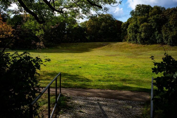 Berlin: Modern Architecture Bike Tour Through Wedding - Experience Highlights