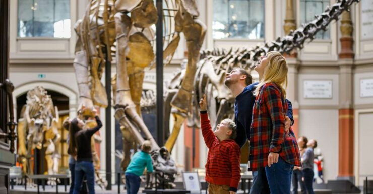 Berlin: Natural History Museum Entrance Ticket - Museum Experience