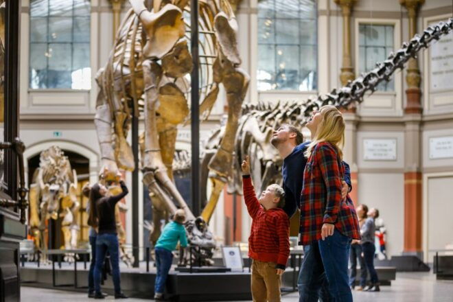 Berlin: Natural History Museum Entrance Ticket - Booking Details