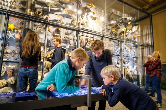 Berlin: Natural History Museum Entrance Ticket - Customer Reviews