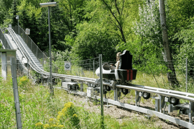 Berlin: Nature Bobsled Run Ticket - Who Would Love This Experience?  