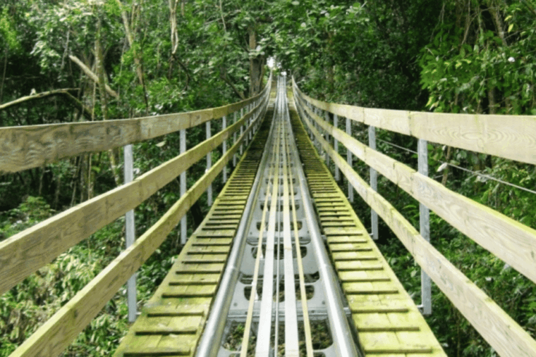 Berlin: Nature Bobsled Run Ticket - Safety and Restrictions