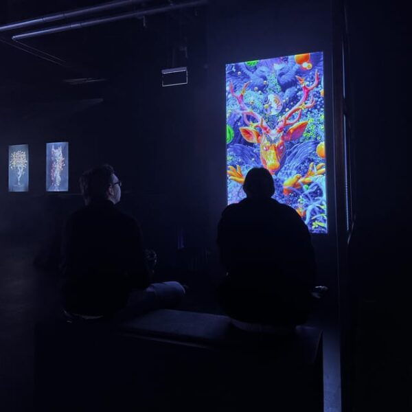 Berlin: P61 Gallery - Location and Accessibility